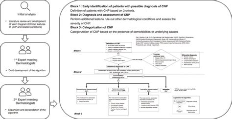 Image result for Rash Algorithm Pityriasis