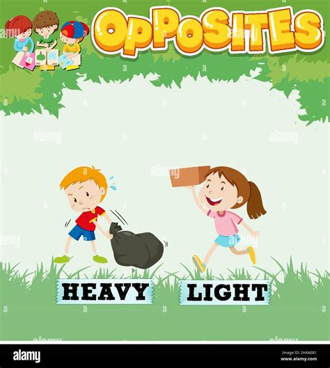 Opposite words for heavy and light illustration Stock Vector Image ...