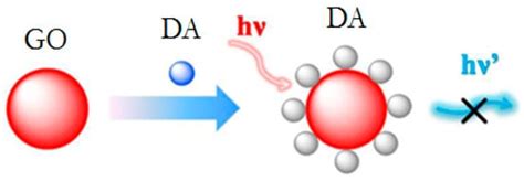 A Fluorescent Biosensors for Detection Vital Body Fluids’ Agents