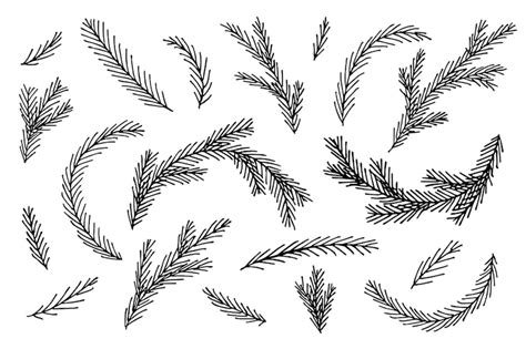 Images de Dessin Branche Sapin – Téléchargement gratuit sur Freepik