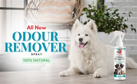 Buy Just Paws Odour Remover for Dogs and Cats| Dog Odour and Urine ...