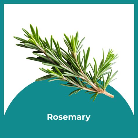 Buy Nurosmart Brain Booster Syrup for Kids | Ayurvedic Memory Tonic ...