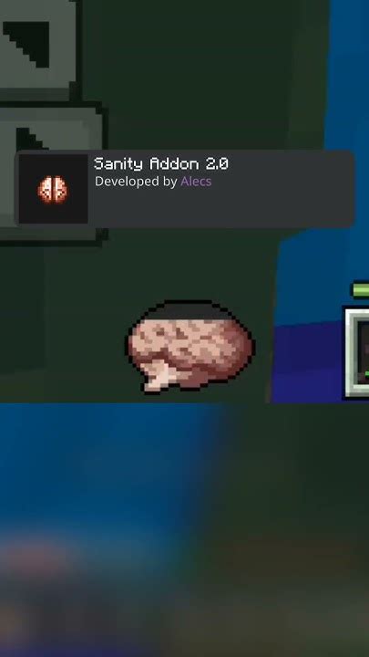 Bedrockify Mod 的图像结果