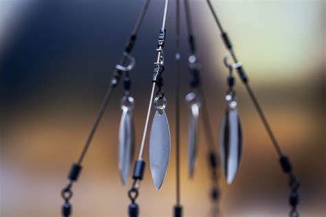 Ultimate Guide to Umbrella Rig Fishing - FishRook
