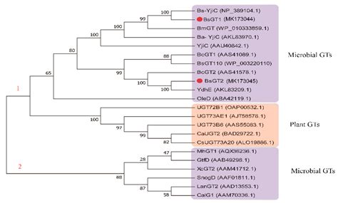 Enzyme-Catalyzed Glycosylation of Curcumin and Its Analogues by ...