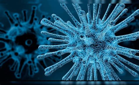 चीन में चमगादड़ से निकला कोरोना का नया वैरिएंट कितना खतरनाक? जानें इससे ...