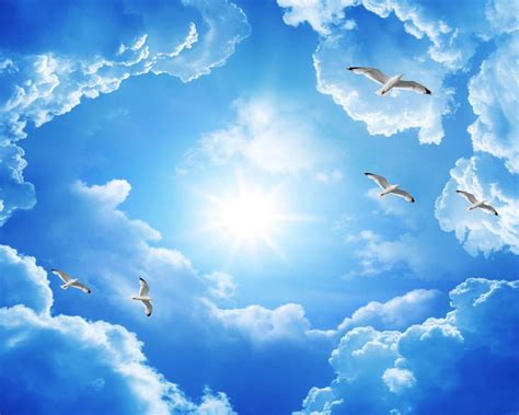 Birds in the clouds Ceiling Wallpaper – Myindianthings
