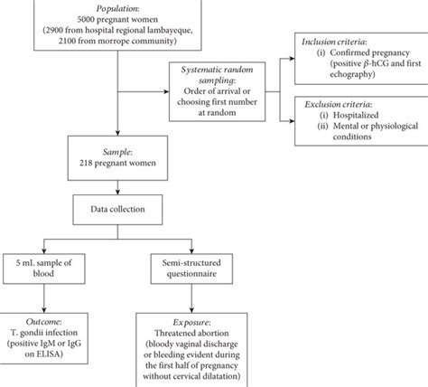 Image result for Data Collection Process Template