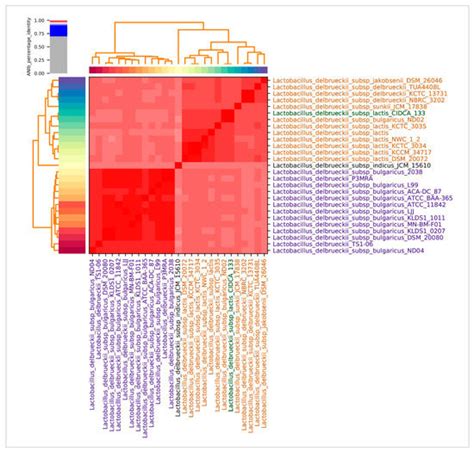 Probiogenomics of Lactobacillus delbrueckii subsp. lactis CIDCA 133: In ...