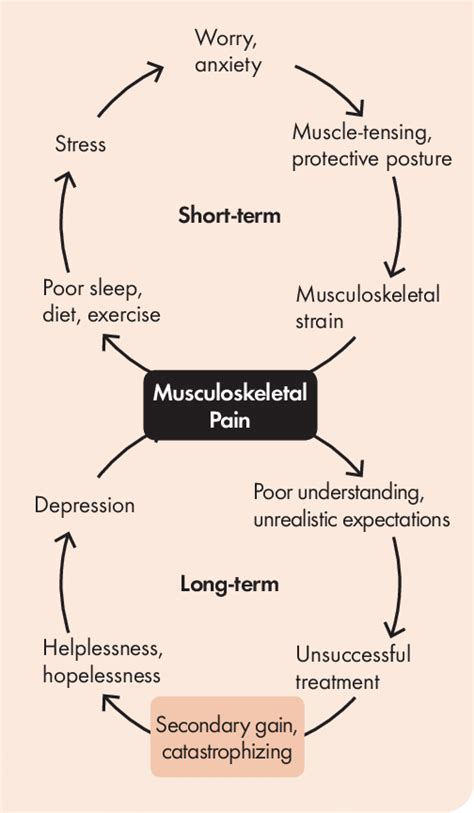 Image result for Negative Feedback Cycle