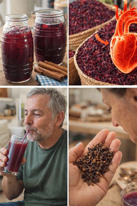 Exploring the Ancient Traditions and Potential Wellness Insights of Hibiscus and Cloves in Daily ...