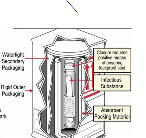 Lecture 2 Sample Processing Flashcards | Quizlet