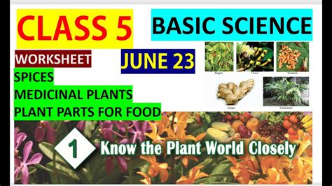 Image result for Class 5 Basic Science Chapter 4