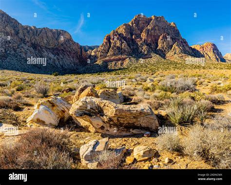Sandstone Boulders and Mt. Wilson on The First Creek Trail, Red Rock ...