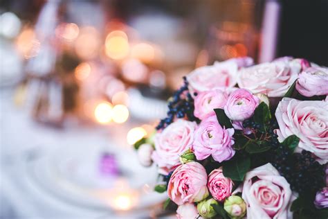 Free Images : bokeh, plant, petal, pink, wedding, flowers, close up ...