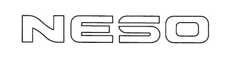 Image result for Neso Computer Networks