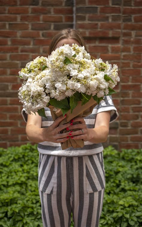 hydrangea wedding gown