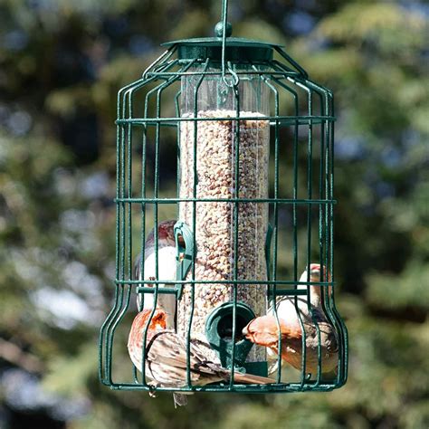 Squirrel Proof Bird Feeder Hanging Cage Seed Food