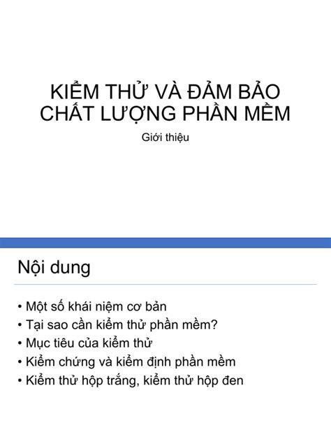 Testing Intro 的图像结果