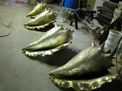 Conch Shell Removal 的图像结果