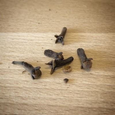 Clou de girofle de Noël - Open Time