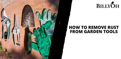 Image result for Yard Tools Remove Rust