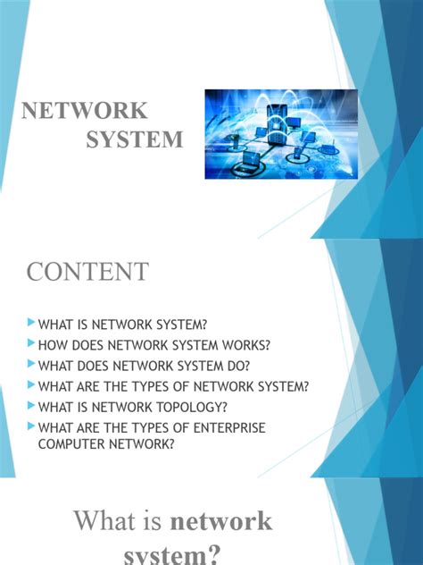 Network System 的图像结果