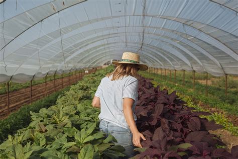 California is US’s Largest Agricultural State—and its Hungriest