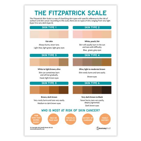 The Fitzpatrick Skin Cancer Scale (Printable PDF) | Skin Type & Cancer Risk | AnatomyStuff