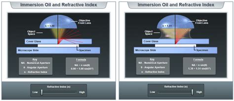 Resolution and Numerical Aperture | Teledyne Vision Solutions