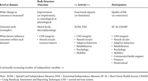 Image result for International Classification of Functioning Scoring