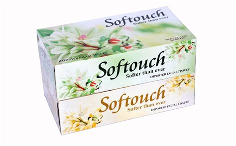 Softouch Face Tissue Paper 100 pull 200 Sheet- Set of 6 : Amazon.in ...