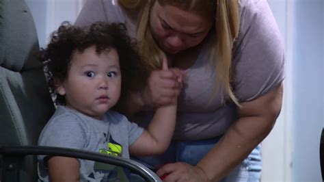 Local and federal law enforcement arrest 11 'criminal aliens' in ...