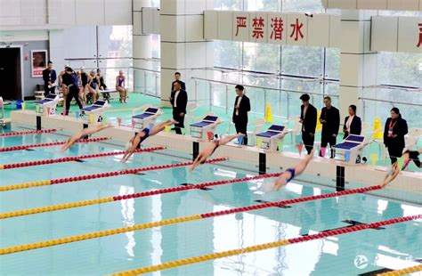 台州市第五届运动会上 玉环游泳小将斩获43金