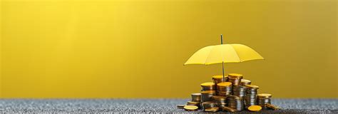 Image result for Financial Protection