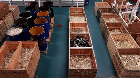 Image result for Bulk Reloading Components