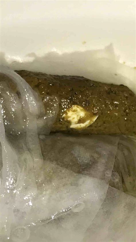 My Dog Pooped White Stuff: What It Means & Is It Normal? | Petco