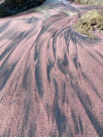 Pfeiffer Big Sur State Park - 2021 What to Know Before You Go (with ...