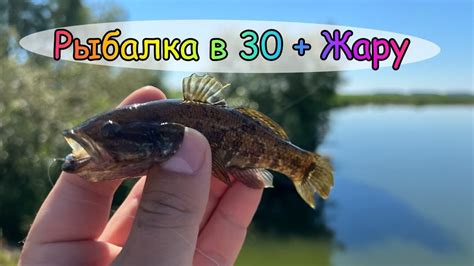 Ловля Карася ! Мормышинг 2022 ! Рыбалка на Карася ! Ультралайт ! Ротан ...
