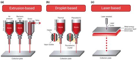 Advancement in Cancer Vasculogenesis Modeling through 3D Bioprinting ...