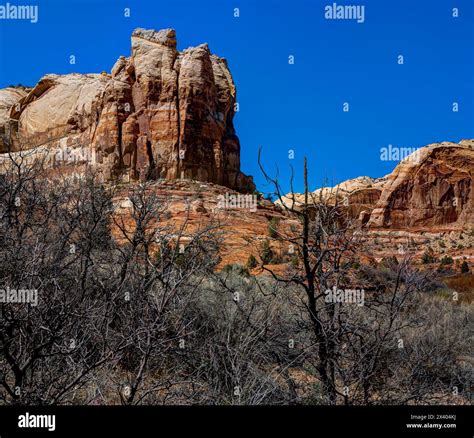 Lower Calf Creek Falls trail . Grand Staircase-Escalante, Utah, USA ...