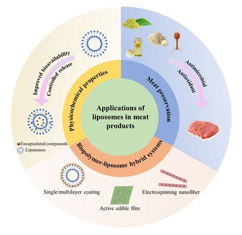 Liposomes as Delivery System for Applications in Meat Products