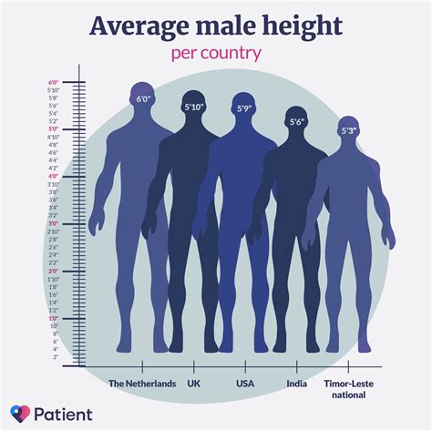 Mexican Men Average Height