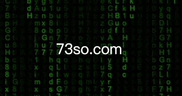 html网页实现黑客帝国代码雨的方法 - 73SO博客