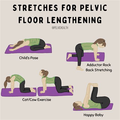 Breathing Exercises For Tight Pelvic Floor - Infoupdate.org
