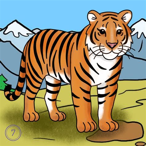 Image result for Tiger Drawing Tutorial