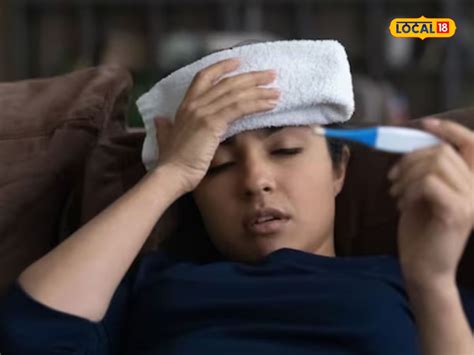 Fever: డెంగ్యూ, మలేరియా రాకుండా ఉండాలంటే ఇలా చేయండి.. | dengue malaria ...