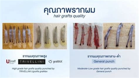 Image result for Vovel If Else Program Java