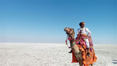 Planning to visit Rann Utsav? Here’s how EaseMyTrip can help you