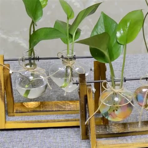 Image result for Bottle Project